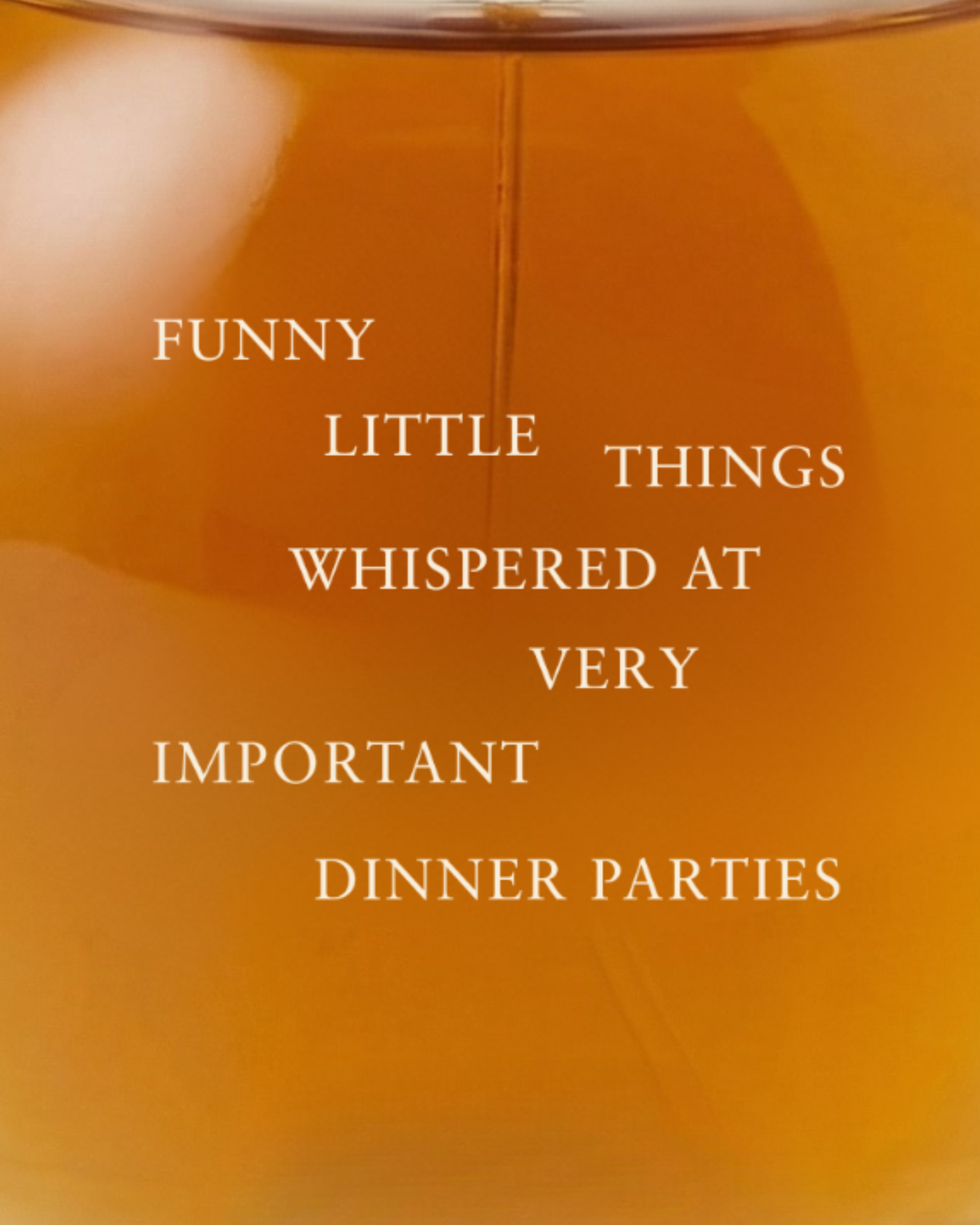 Funny Little Things Whispered at Very Important Dinner Parties