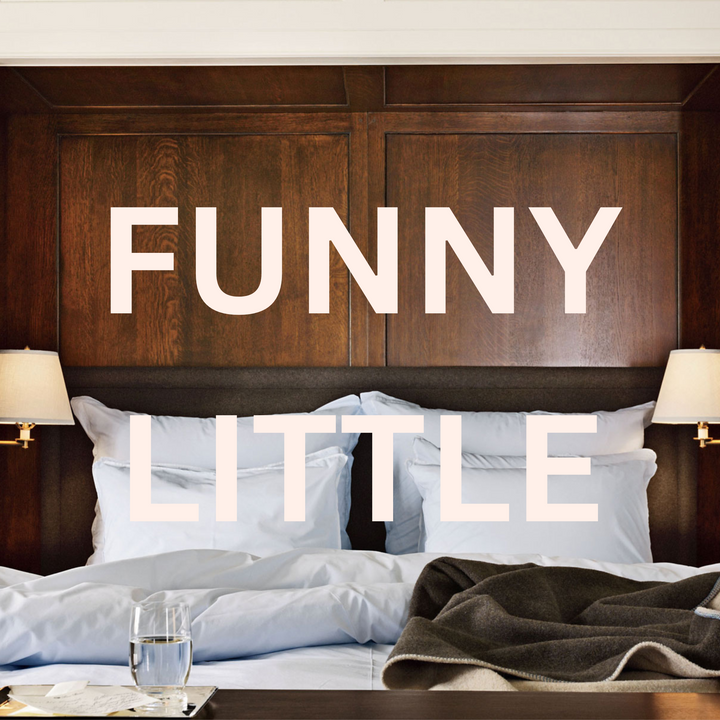 funny little things whispered at very important dinner parties